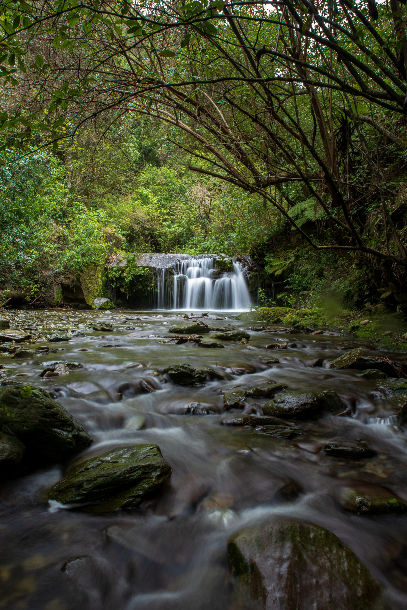 Brook Stream; Nature photography course