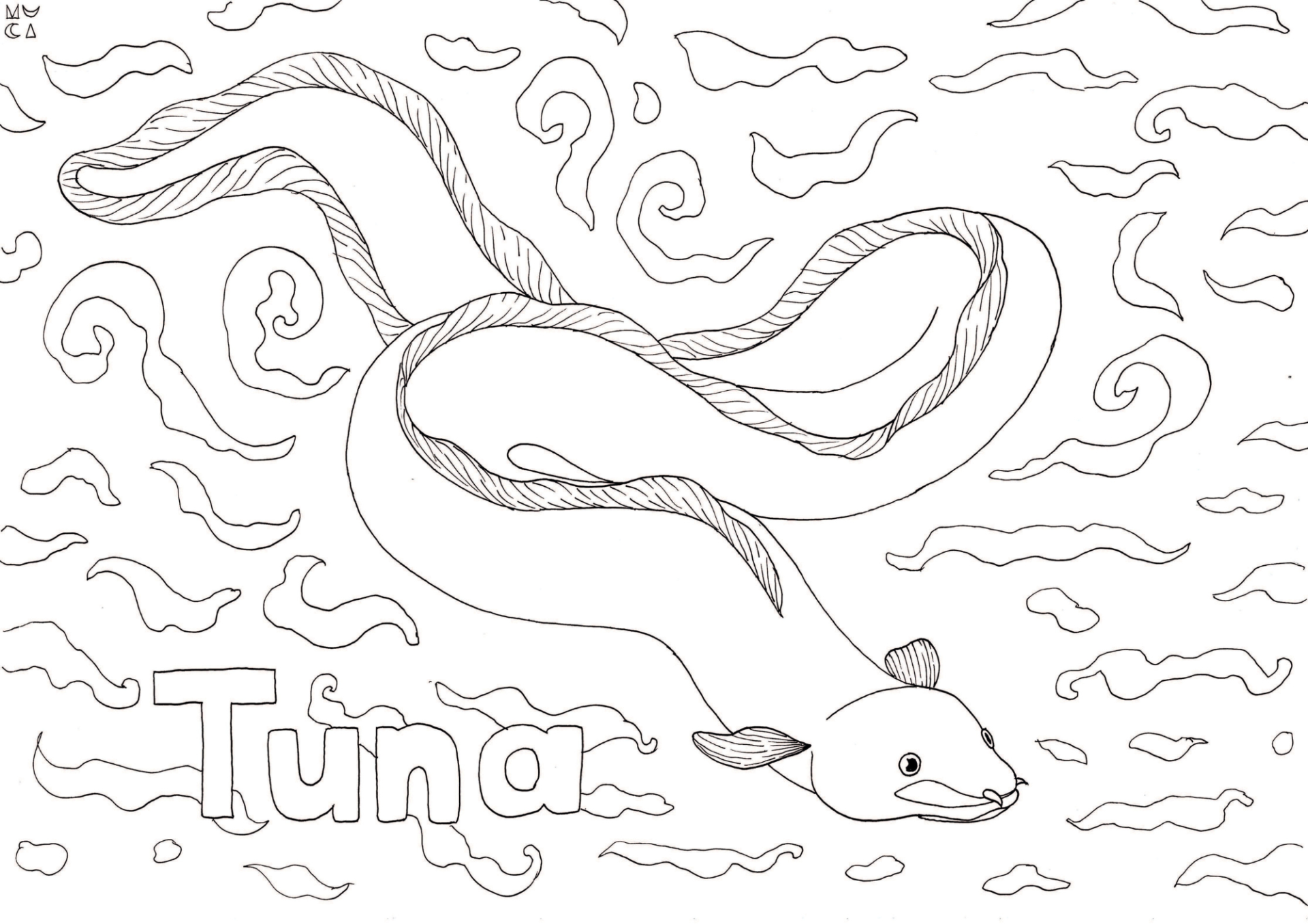 muciillustration - tuna Tuna