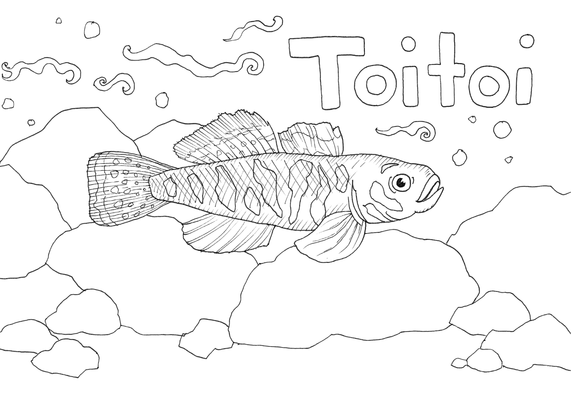 muciillustration - toitoi toitoi