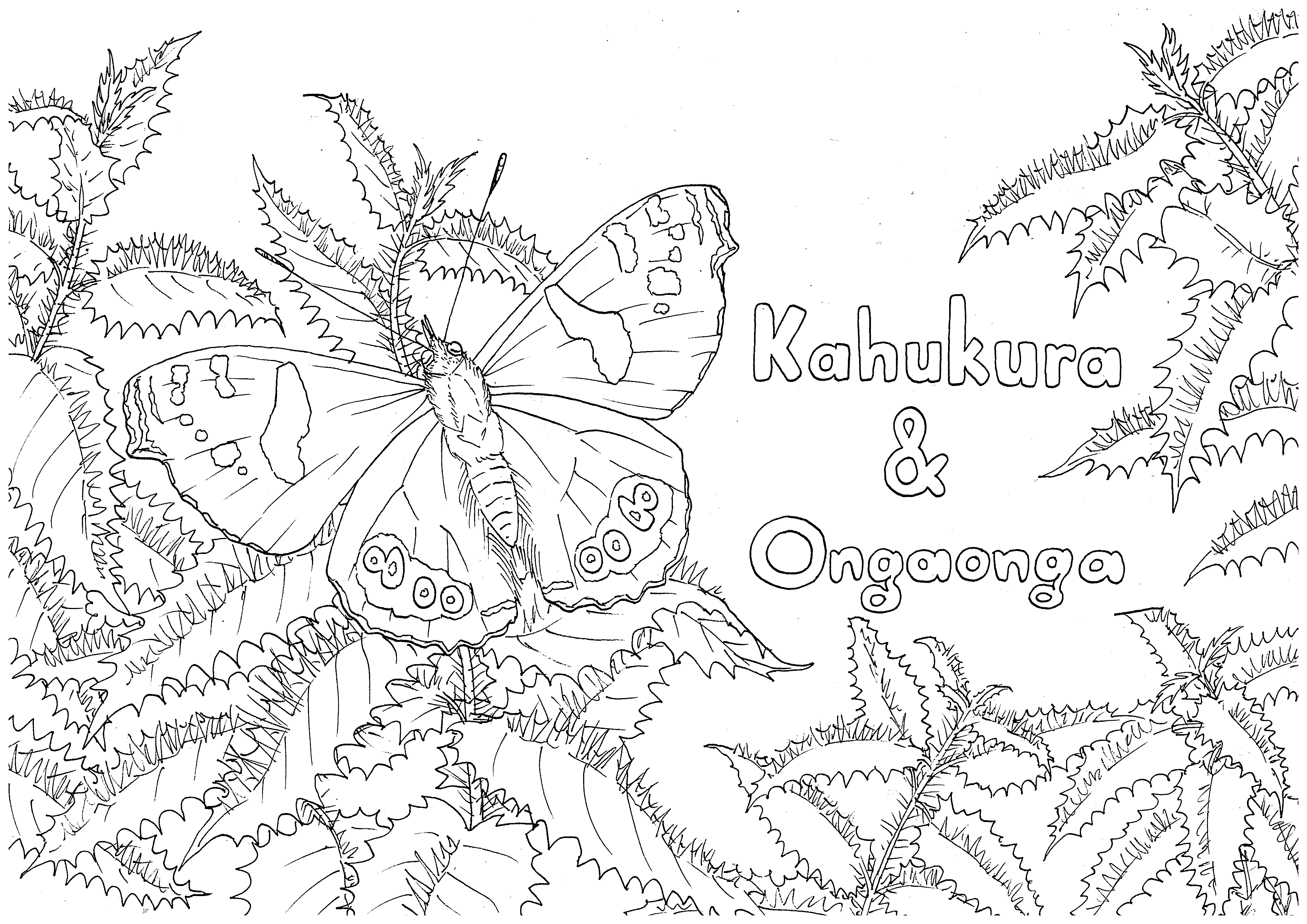 Kahukura and Ongaonga