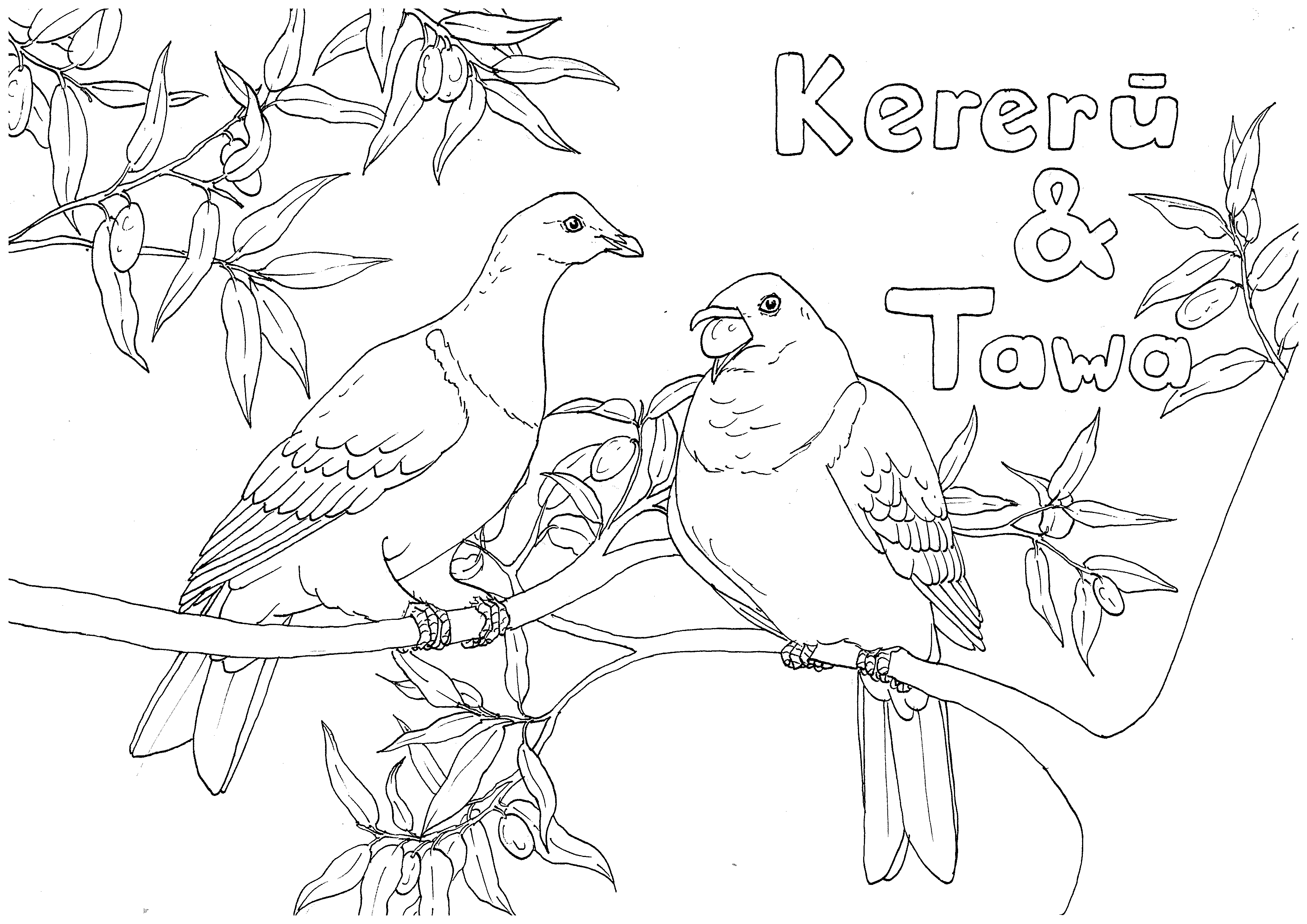 Kererū and Tawa