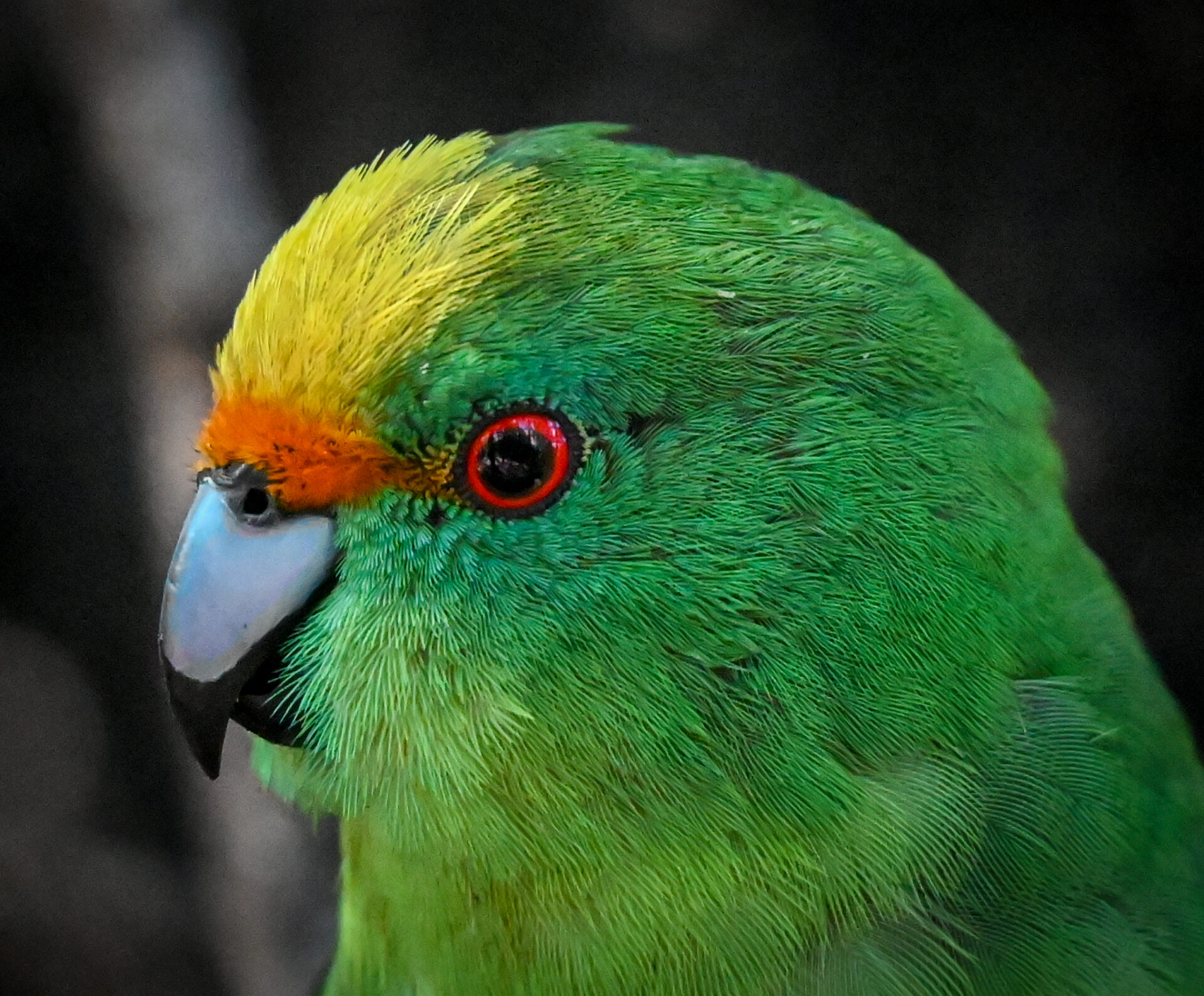 Here’s a blog post 2