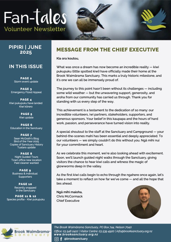 06/25 Fan tales June-2025