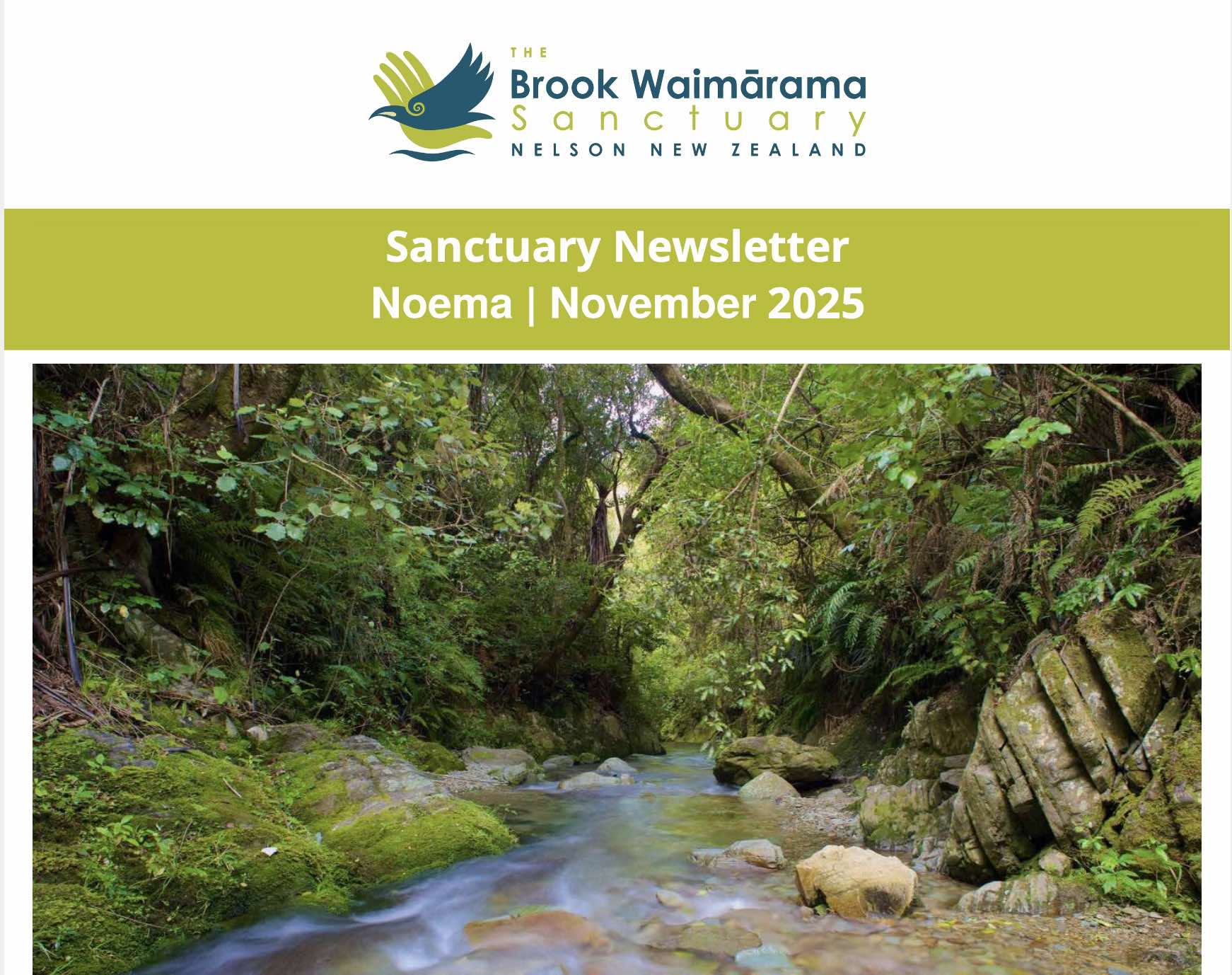 November 2025 Fantales cover