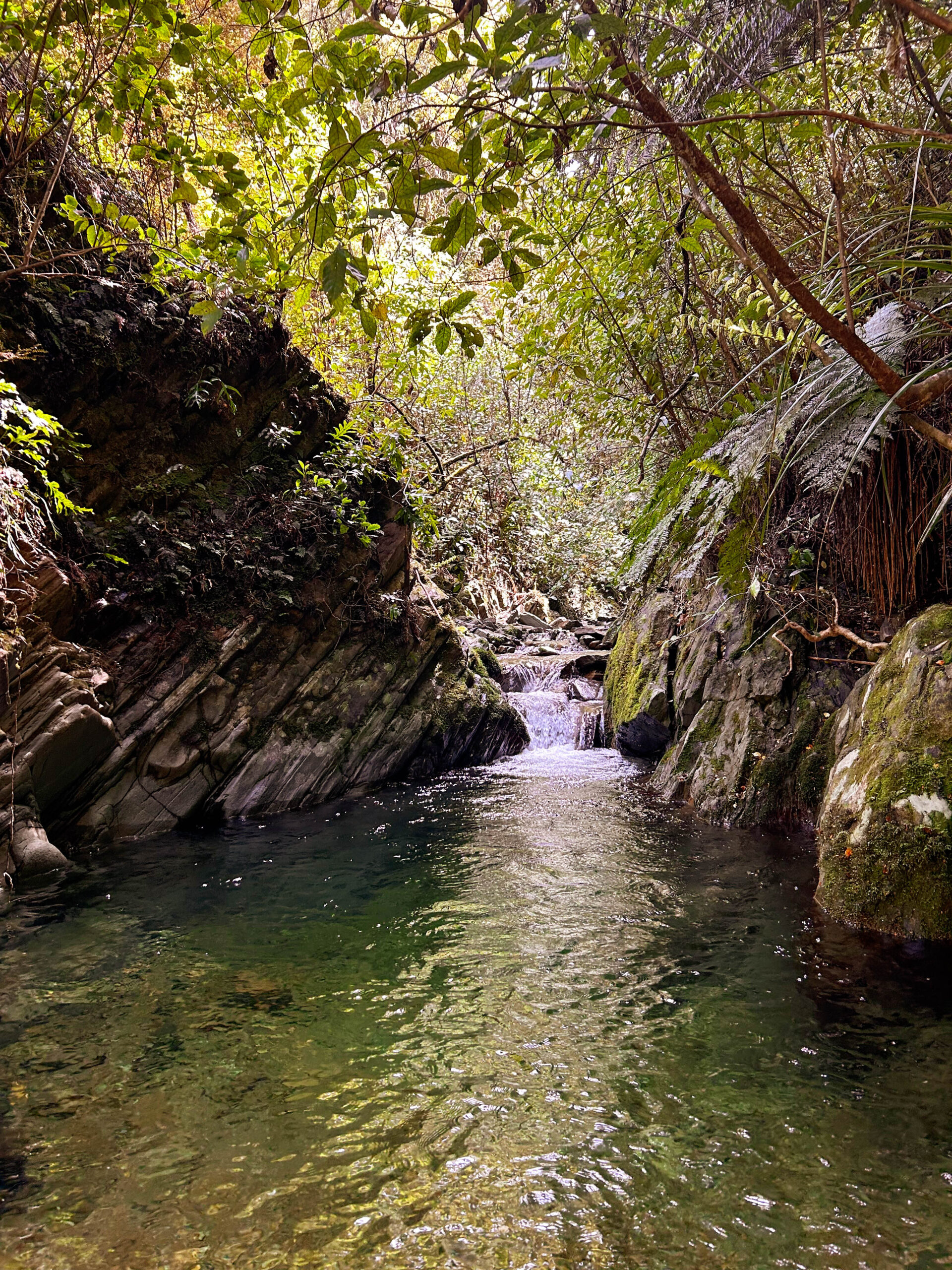 Carter’s Creek Loop
