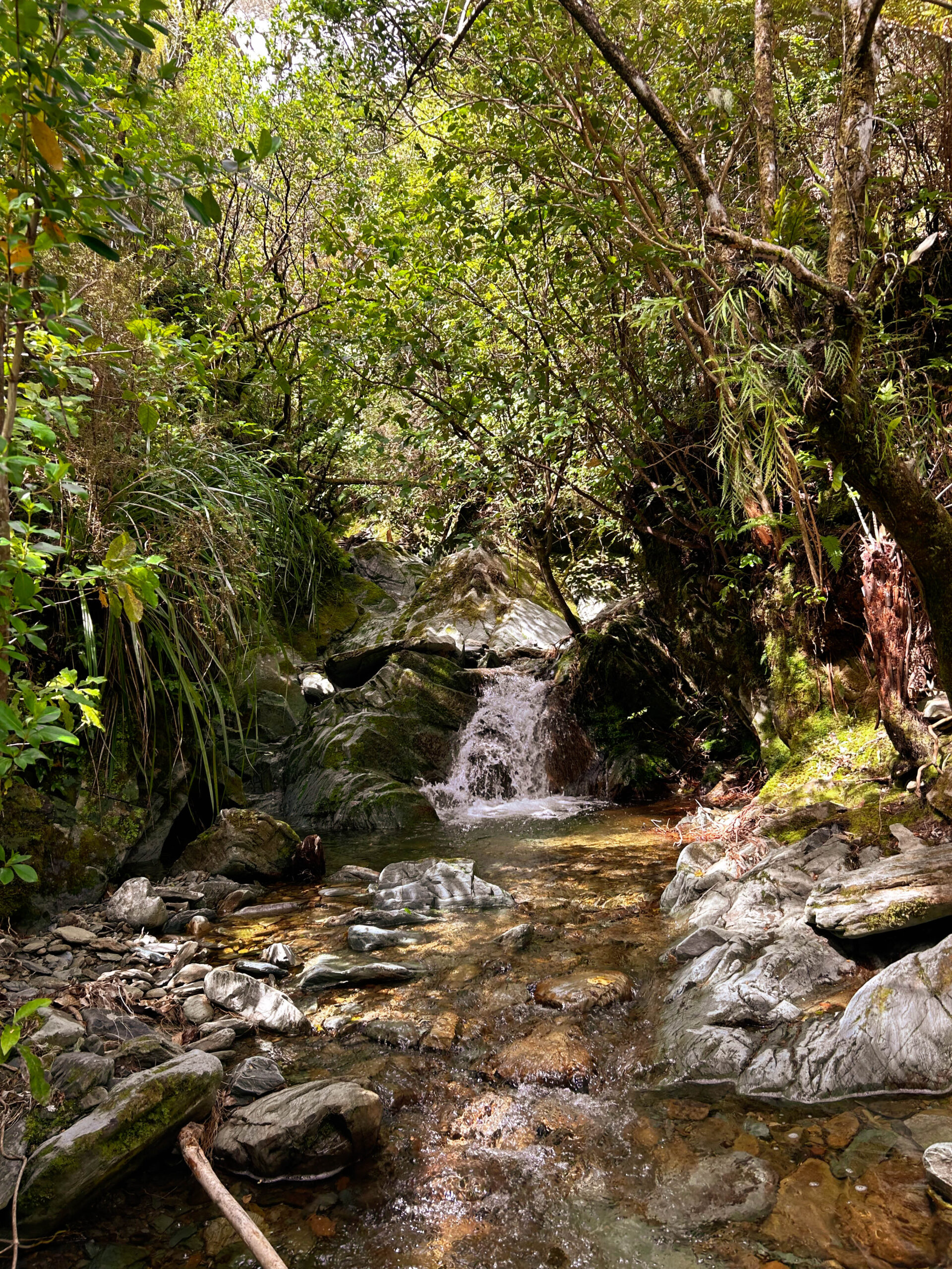 Flagstone Bridge Loop